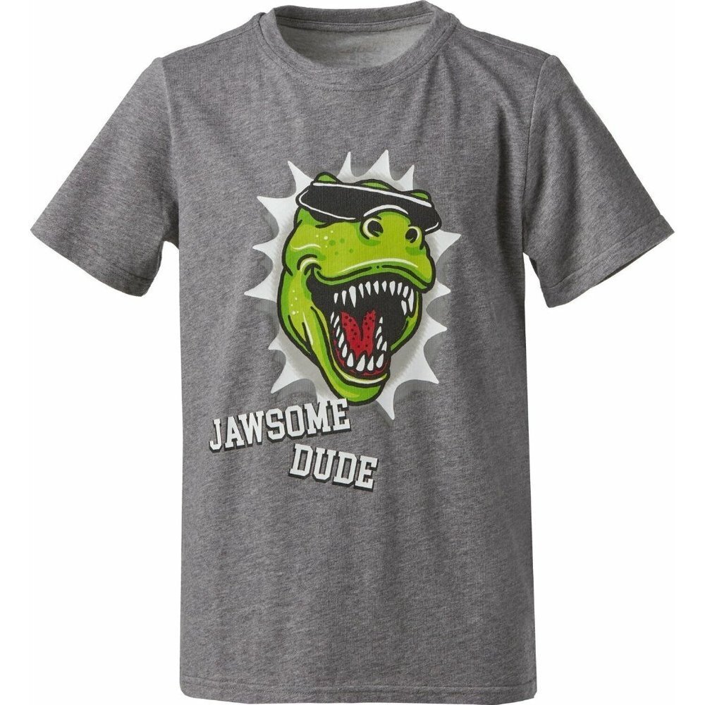 BCG Boys' Jawsome Dude Graphic Short Sleeve T-shirt Heather Grey X-Large (18-20)